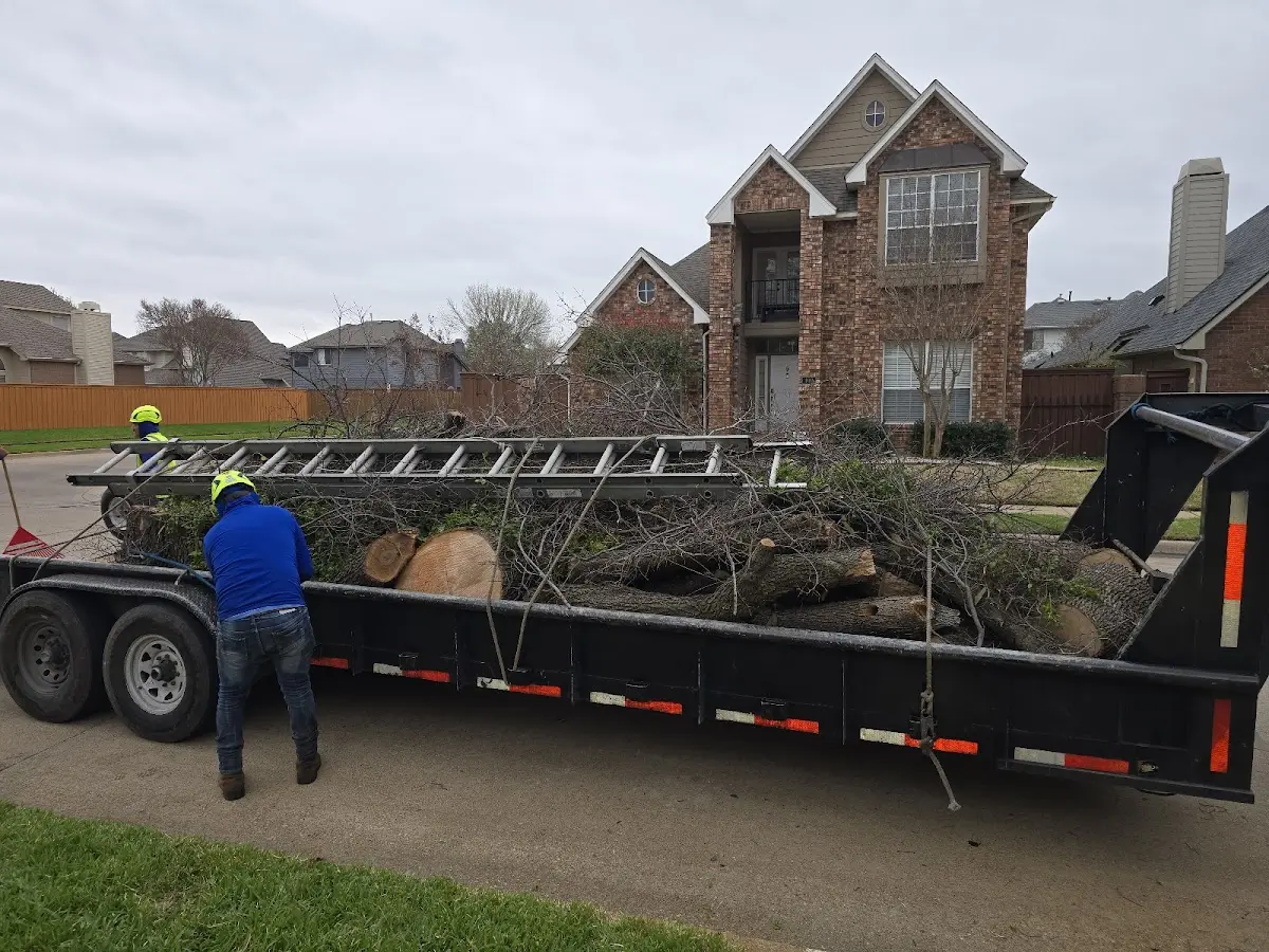 Expert Tree Fertilization with proper safety equipment in Neffs